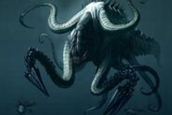 Kraken istand onion