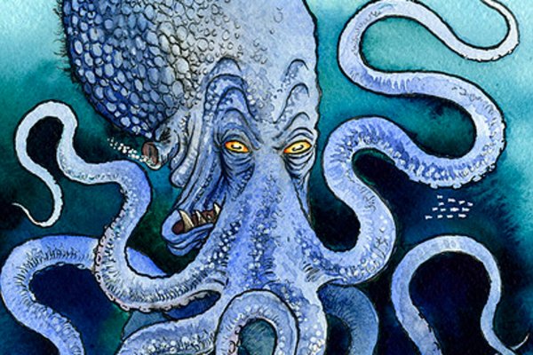 Kraken 13 at com