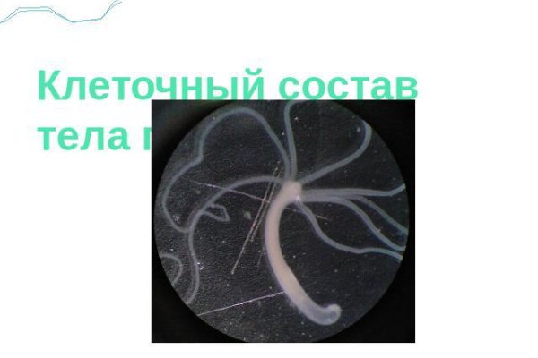Зайти кракен через тор