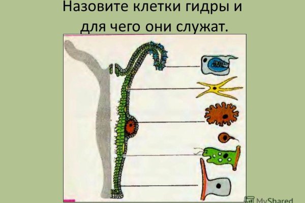 Кракена точка нет