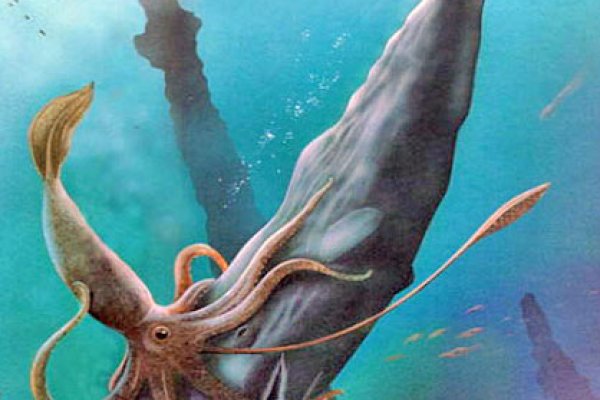 Kraken рабочее зеркало onion