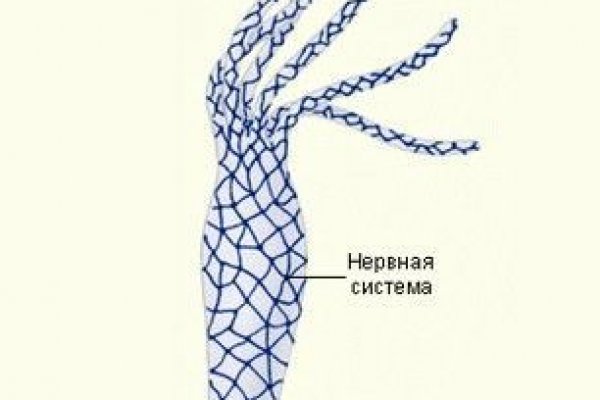 Сайт кракен гидра