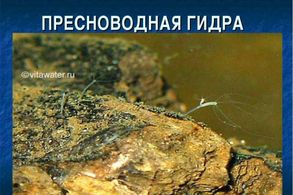 Что продают в кракен маркете