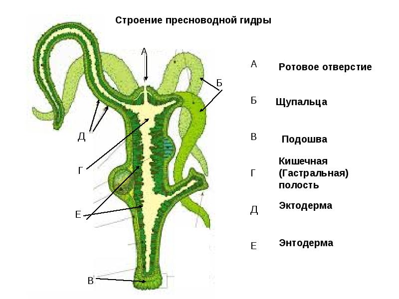 Кракен ориг ссылка
