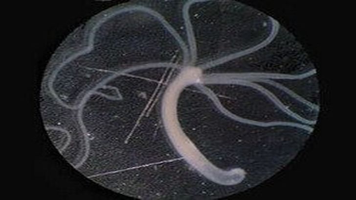 Kraken kraken link24 info